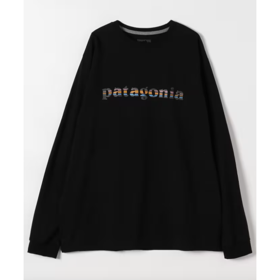 "預訂" Patagonia Long Sleeve '73 Text Logo Responsibility (2 colours) 